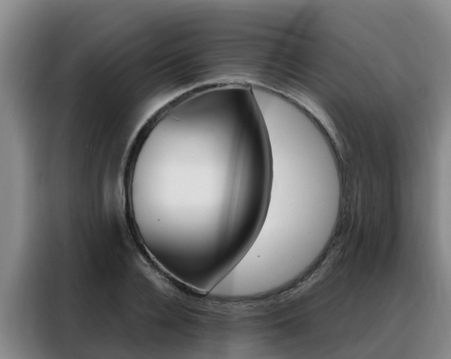 X0000088360936200705220730