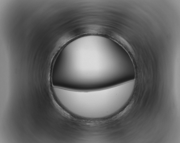 X0000088360938200705220730