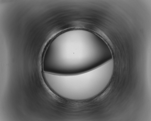 X0000088360939200705220730