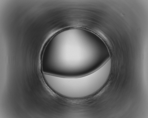 X0000088360940200705220730