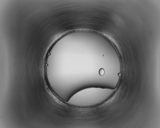 X0000088360941200705220730