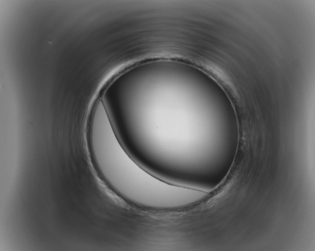 X0000088360942200705220730