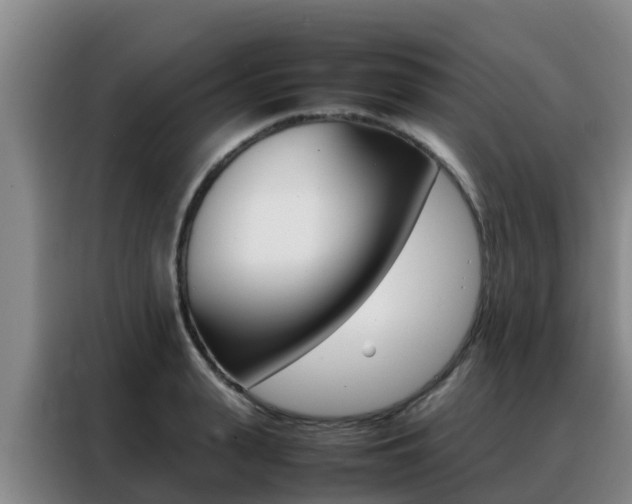 X0000088360943200705220730