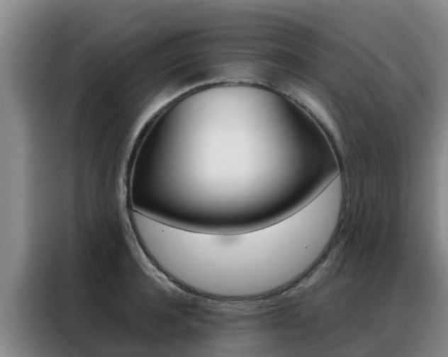 X0000088360944200705220730
