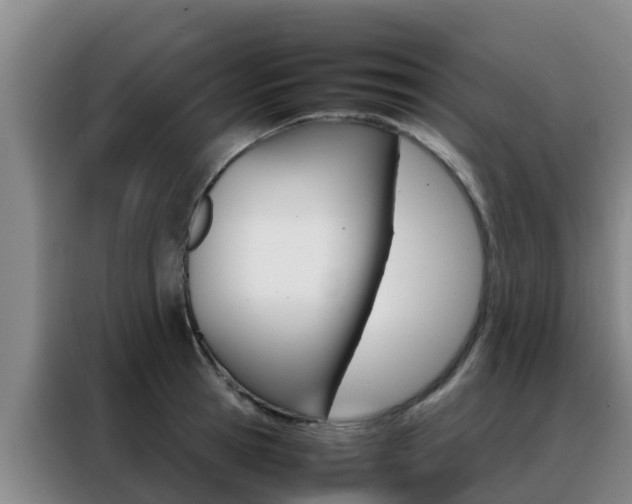 X0000088360945200705220730