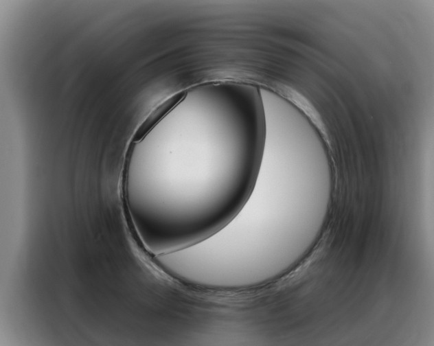X0000088360946200705220730