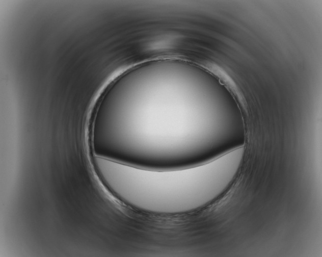 X0000088360947200705220730