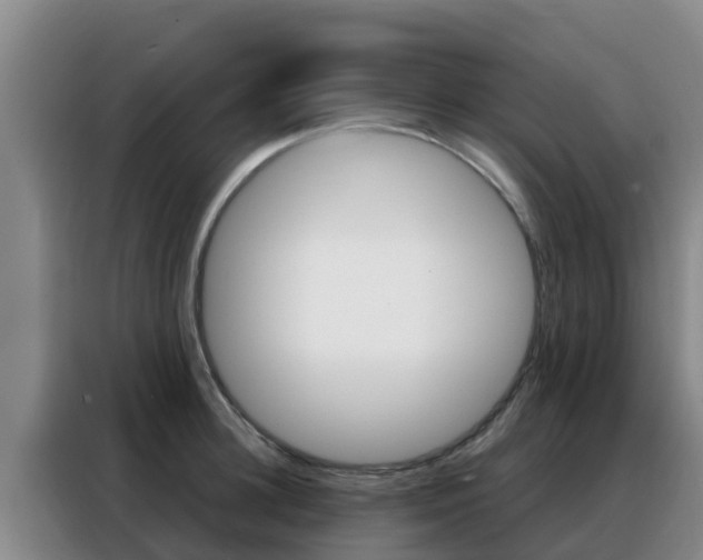 X0000088360948200705220730
