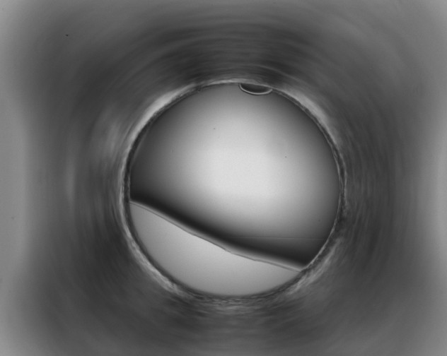 X0000088360949200705220730