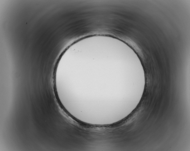 X0000088360950200705220730