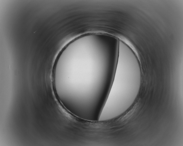 X0000088360951200705220730
