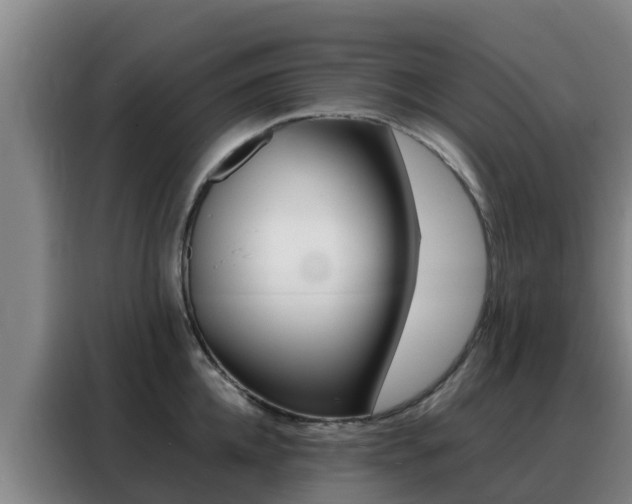 X0000088360952200705220730
