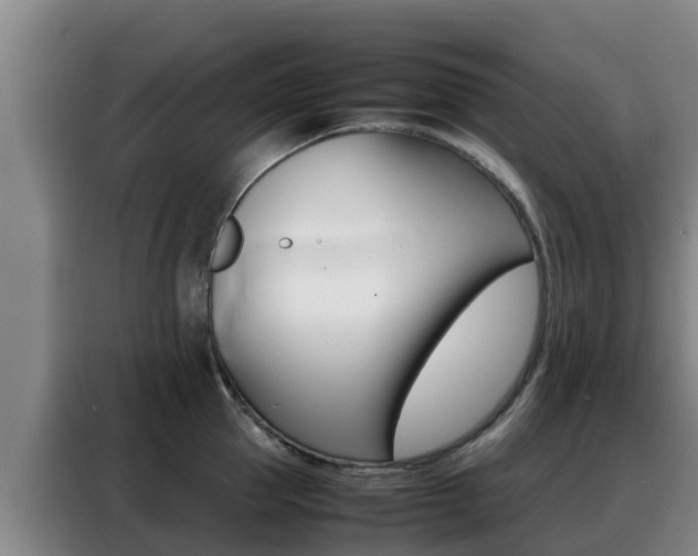X0000088360953200705220730