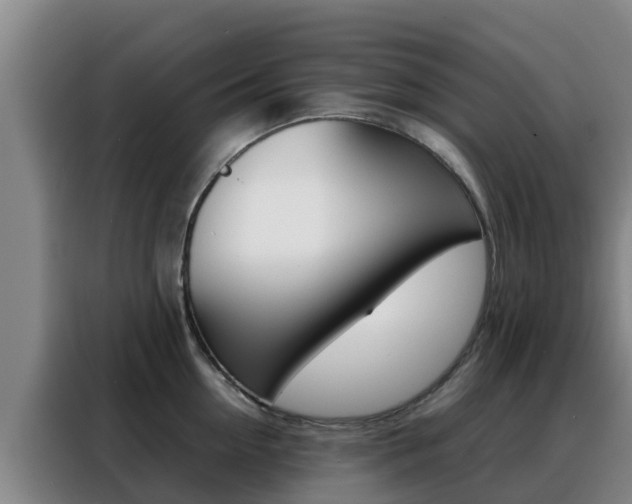 X0000088360954200705220730