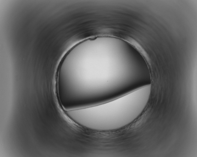 X0000088360955200705220730