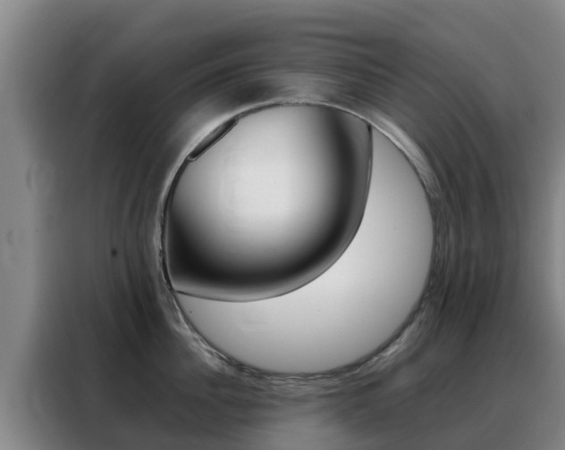 X0000088360956200705220730