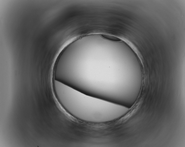 X0000088360957200705220730