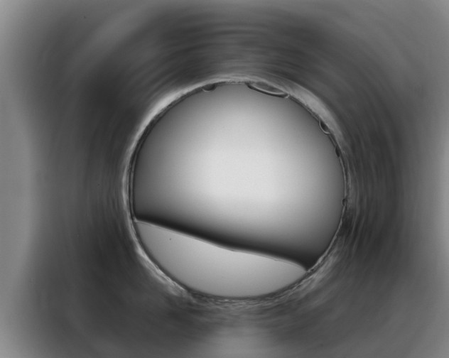 X0000088360958200705220730