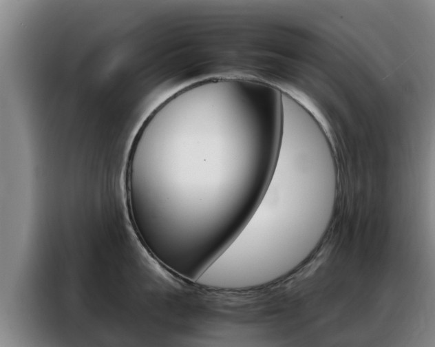 X0000088360959200705220730