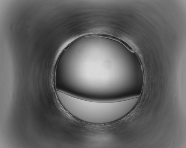 X0000088360960200705220730