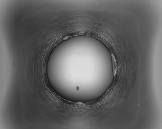 X0000088360961200705220730