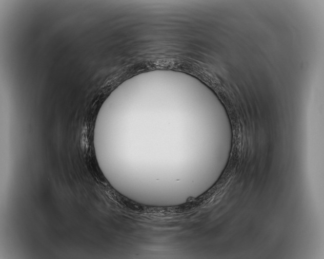 X0000088360962200705220730