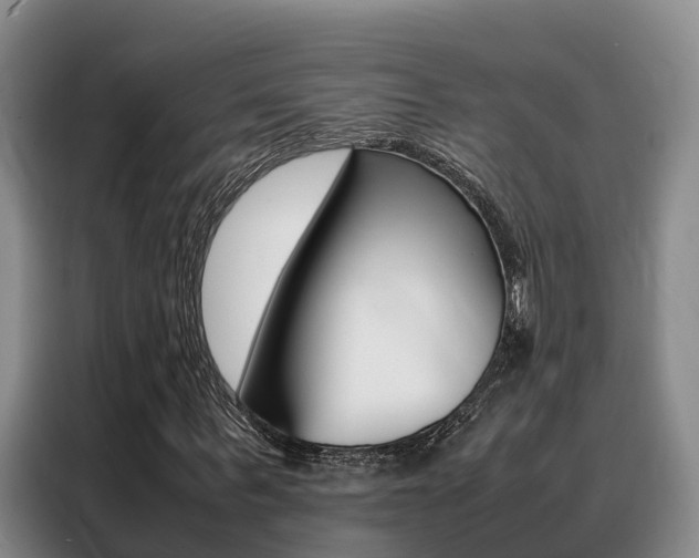 X0000088360963200705220730