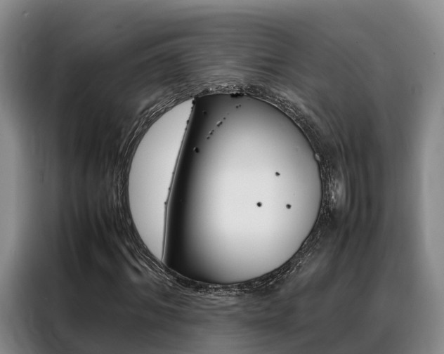 X0000088360964200705220730
