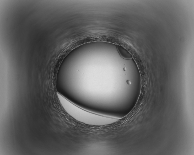 X0000088360965200705220730