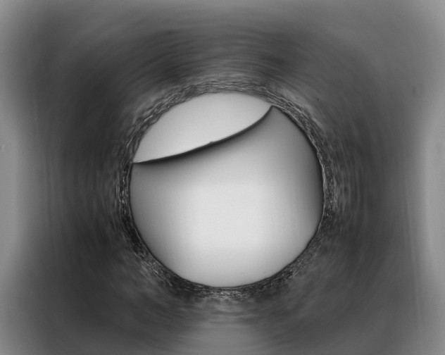X0000088360966200705220729