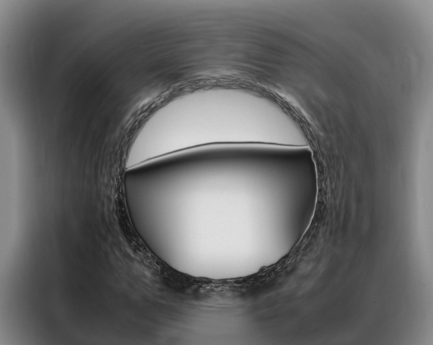 X0000088360967200705220729