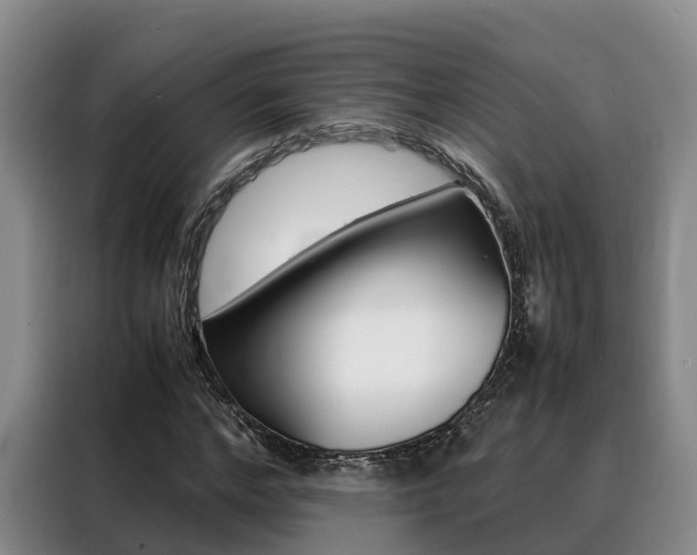 X0000088360968200705220729