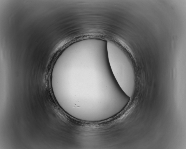 X0000088360970200705220729