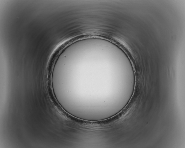 X0000088360971200705220729