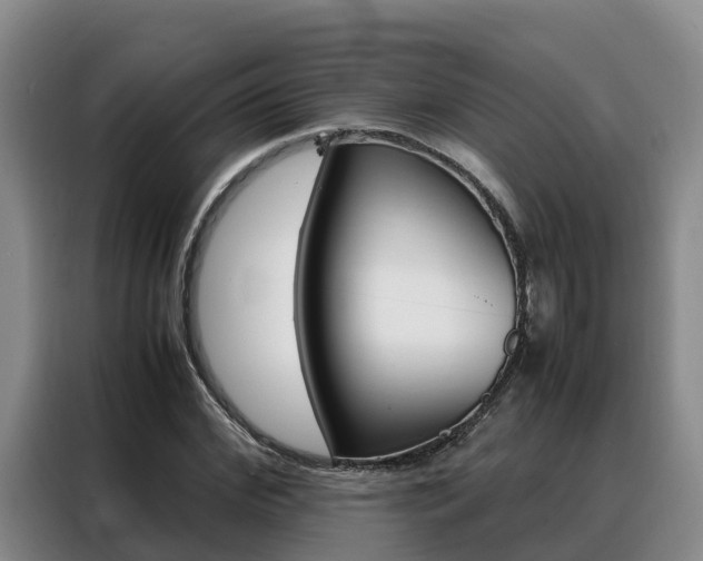 X0000088360972200705220729