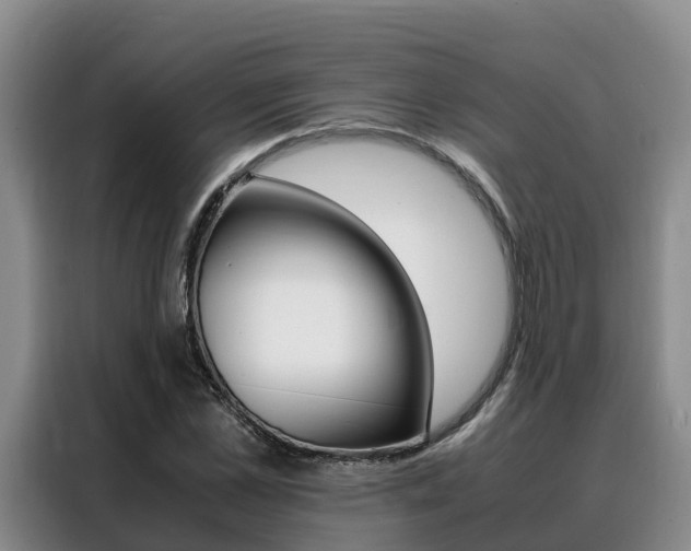 X0000088360973200705220729