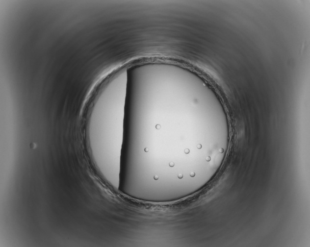 X0000088360974200705220729