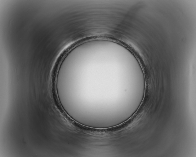 X0000088360975200705220729