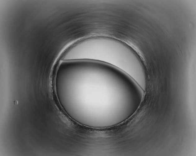 X0000088360976200705220729