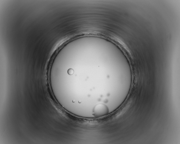 X0000088360978200705220729