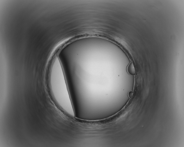 X0000088360979200705220729