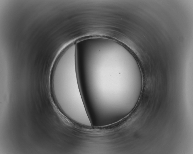 X0000088360980200705220729