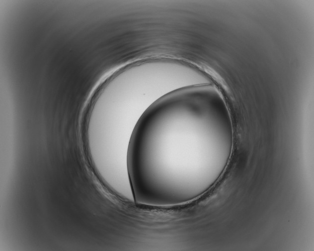 X0000088360981200705220729