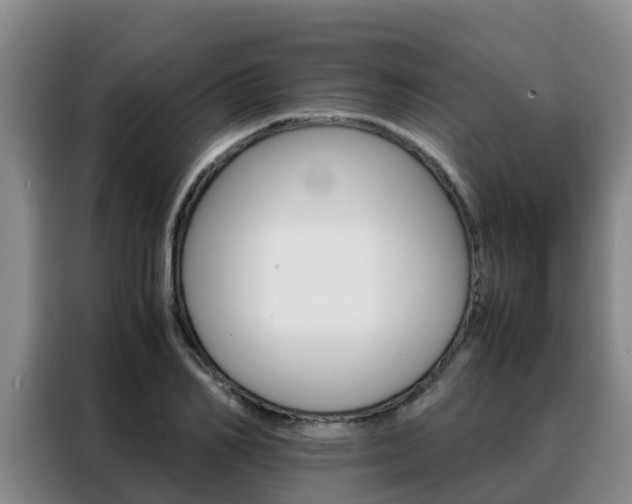 X0000088360982200705220729