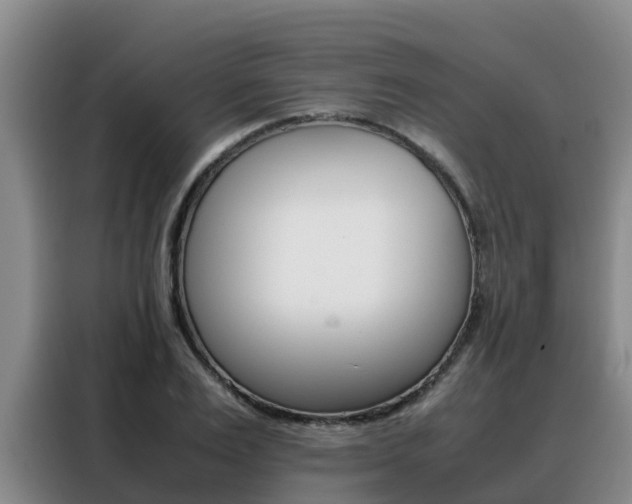 X0000088360983200705220729