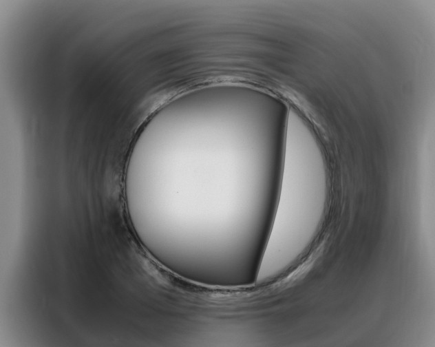 X0000088360985200705220729