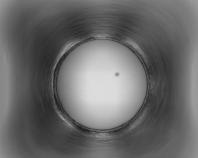 X0000088360986200705220729