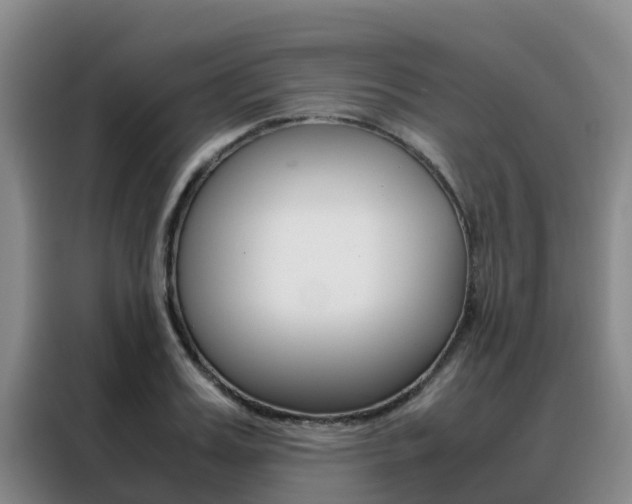 X0000088360987200705220729