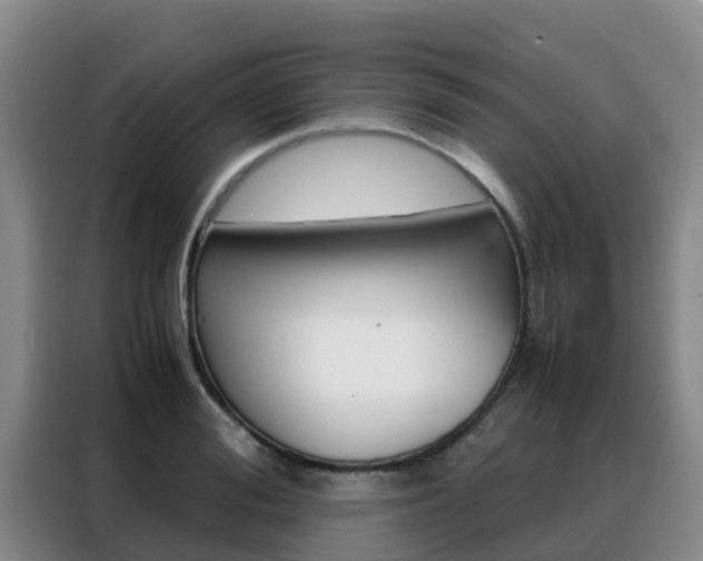 X0000088360988200705220729
