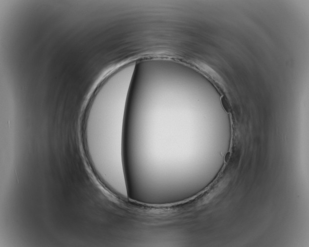 X0000088360989200705220729